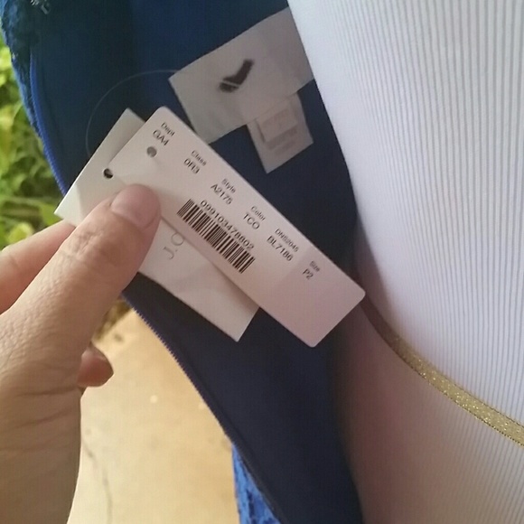 Sold J Crew Petite Pamela Dress in Leavers Lace P2 - Picture 3 of 3