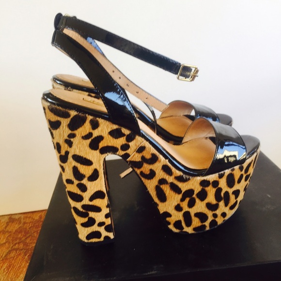 Wild pair shoes