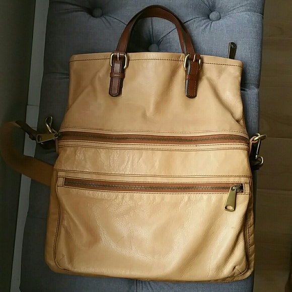 Fossil explorer