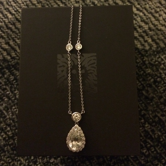 🎁GIFTED🎁 - Teardrop Necklace - Out on the town - Picture 2 of 4