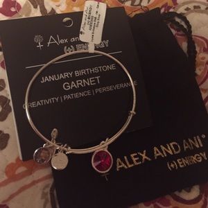 NWT ALEX AND ANI