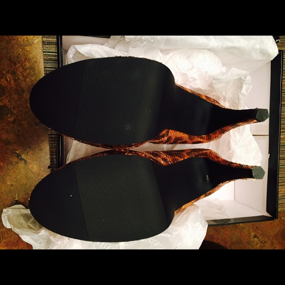 Leopard - Picture 3 of 3