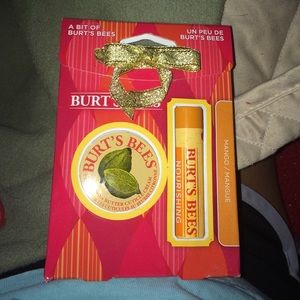 Burt's Bee Mango lip balm