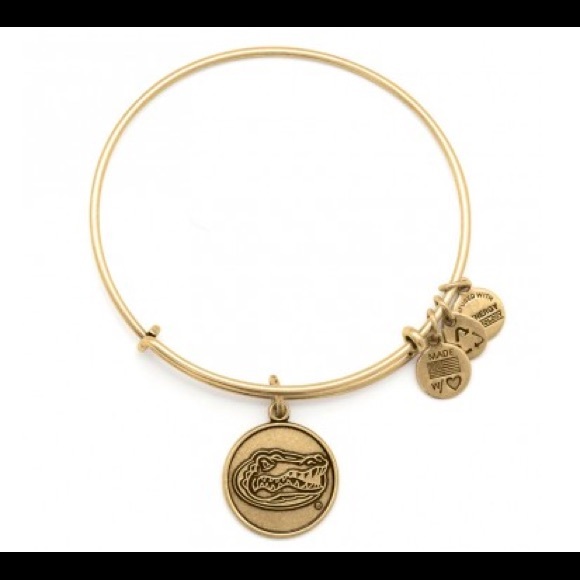 Alex & Ani UF bracelet