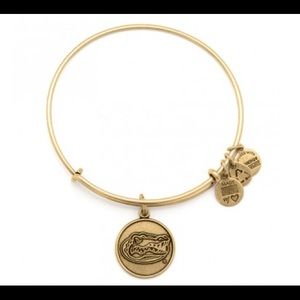 Alex & Ani UF bracelet