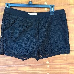 Black Lace Overlay Shorts
