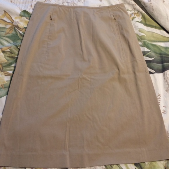 Ann Taylor skirt