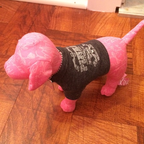 Pink Rock n' Roll dog