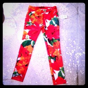 NWT Zara floral pants