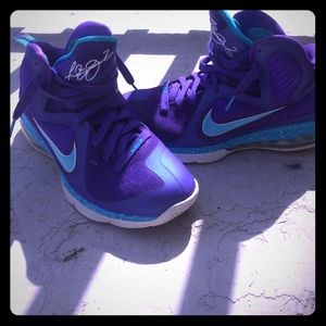 Lebron 9 (Hornet)