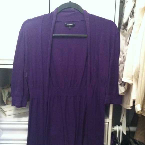Purple Express Sweater