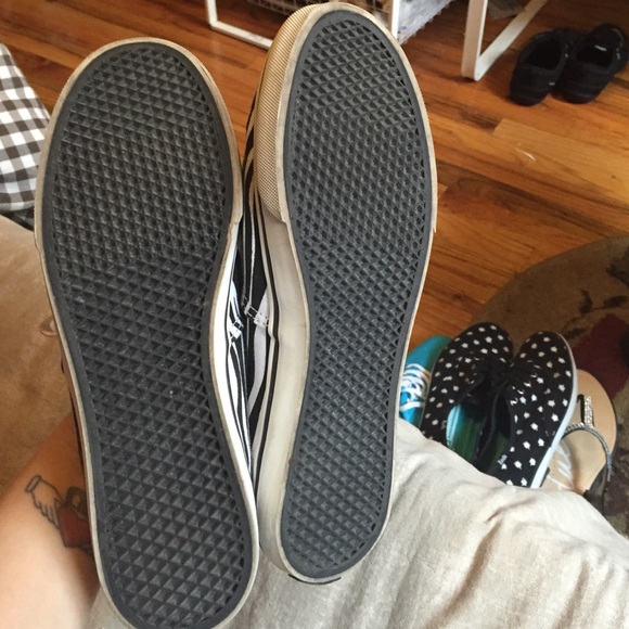 Zebra vans - Picture 3 of 3