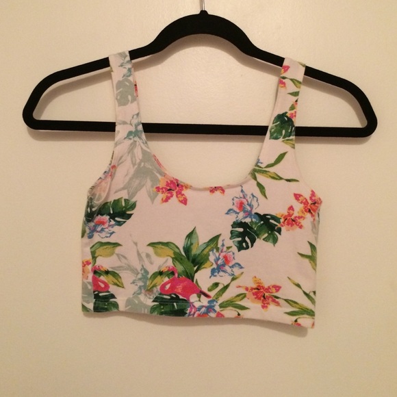 American Apparel Tops - American Apparel Cotton Spandex Tank Crop Top