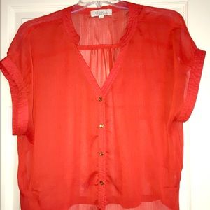 Dark orange shear crop top