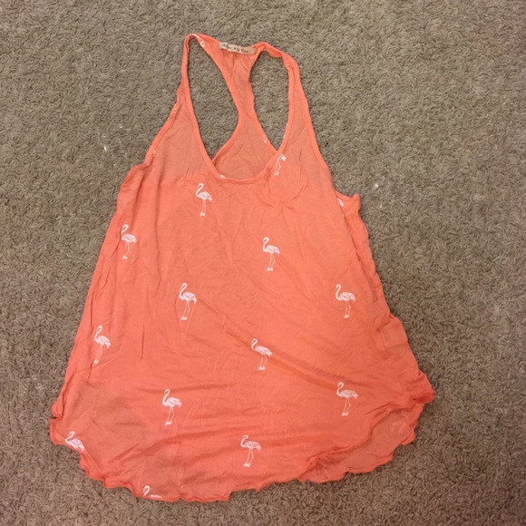 Flamingo tank!