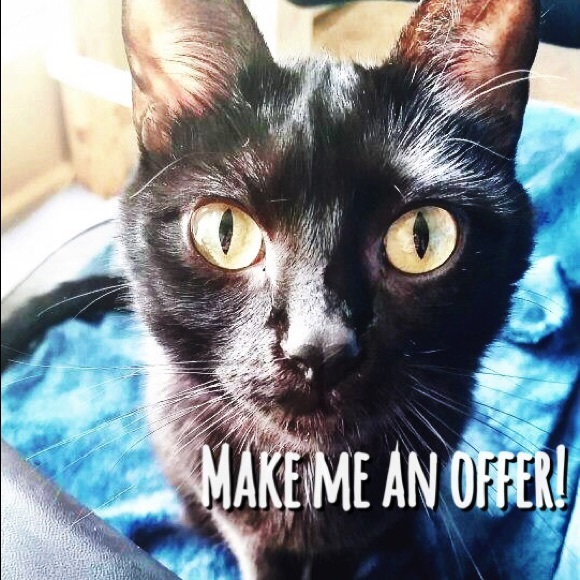 Make an offer!
