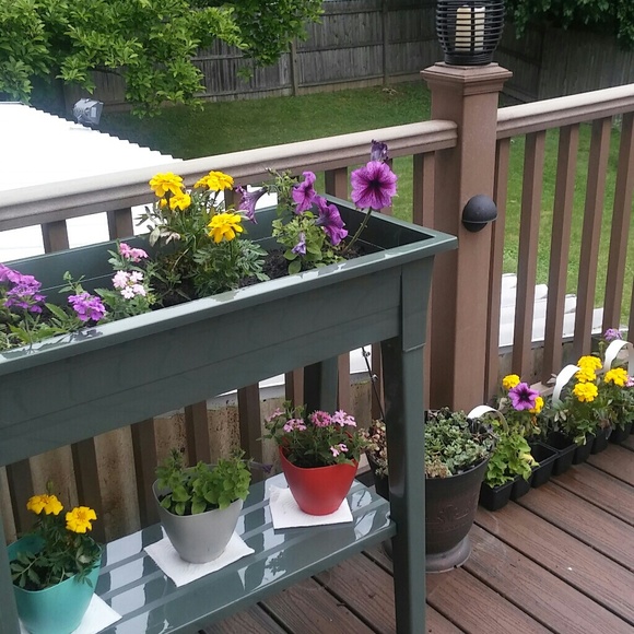 🎈MEET YOUR SELLER🎈 - Picture 6 of 8