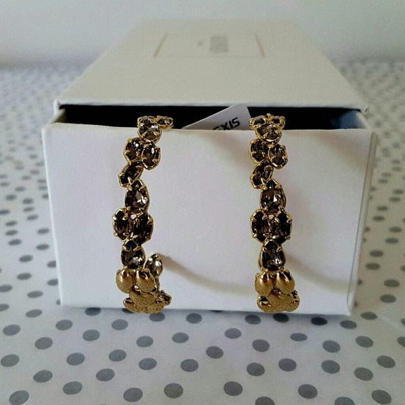 ✔SALE✔ALEXIS BITTAR Crystal Lined Hoop Earrings