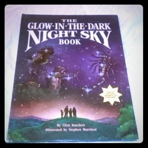 The glow in the dark night sky book