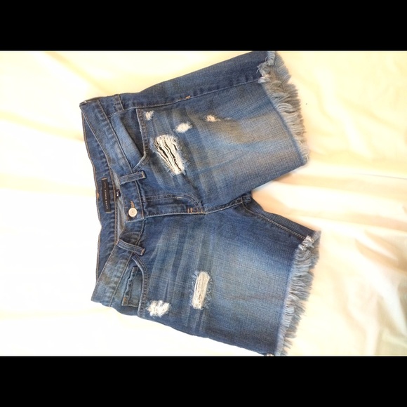 Flying Monkey Shorts