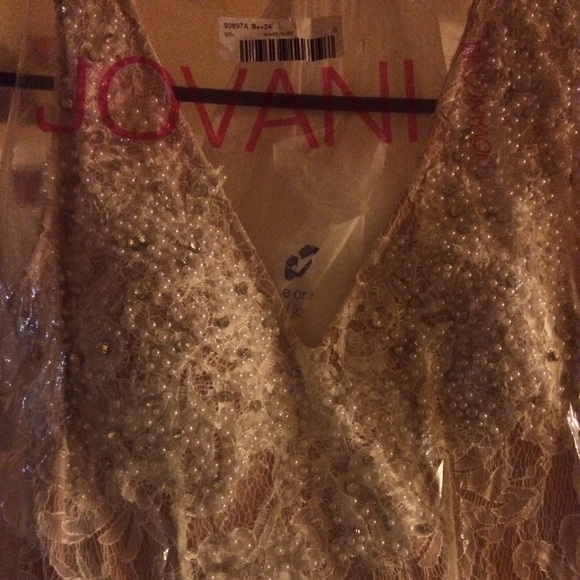 Jovani prom/wedding gown - Picture 3 of 3