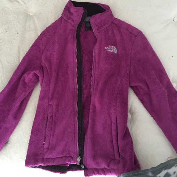 Purple Northface