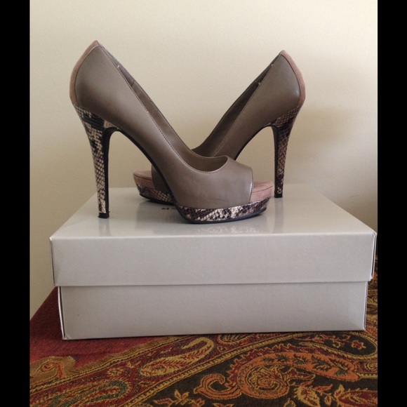 Jessica Simpson (Mushroom w/Snake Print trim)