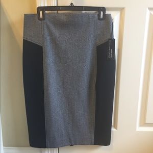 Express Pencil Skirt