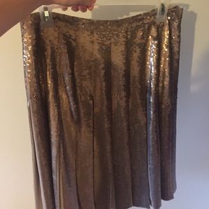 Beautiful Sequined Pleated skirt