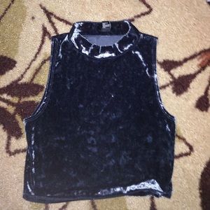 Blue Velvet Crop Turtleneck Top