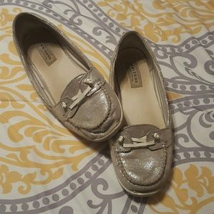 Silver Arizona flats