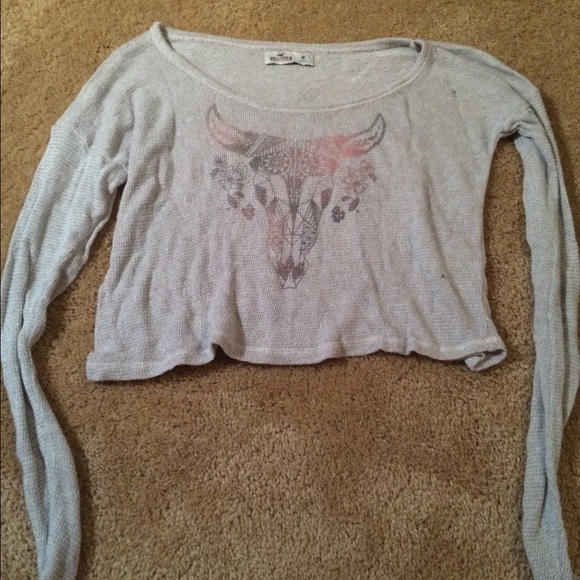 hollister sweater