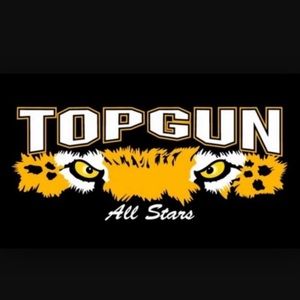 Looking for Topgun Allstars?