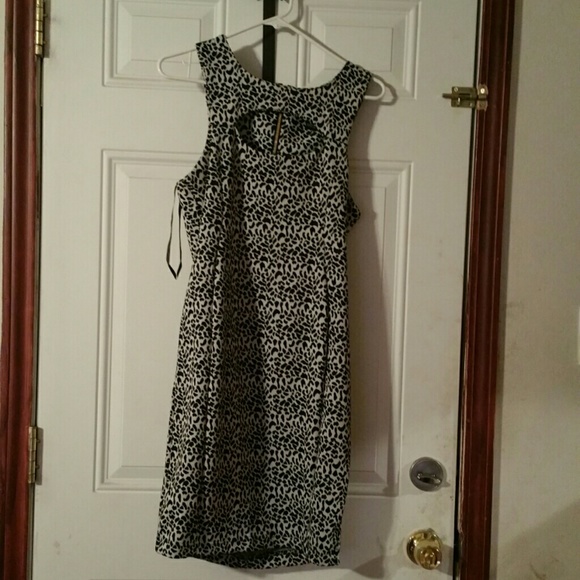 Print Dress