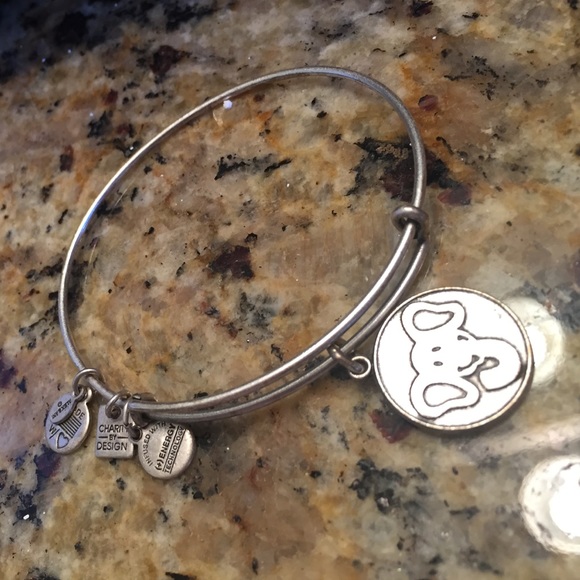 Alex and Ani Accessories - Alex and Ani