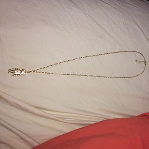 Long Jewel Necklace