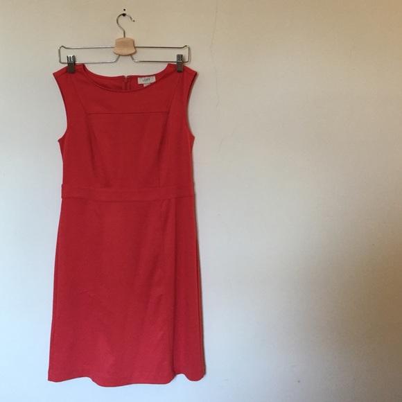 NWT Loft Shift Dress