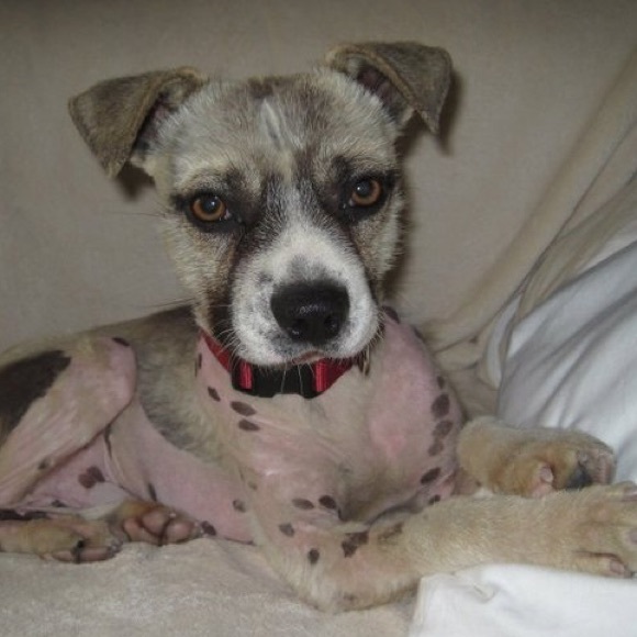 Follow Game #1 - Picture 3 of 3