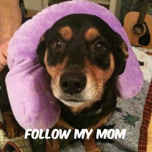 Follow Game #1 - Picture 2 of 3