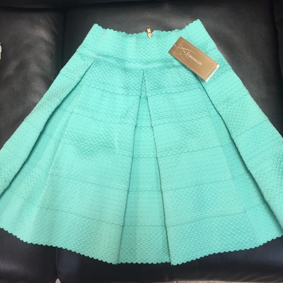 Francesca's mint skirt