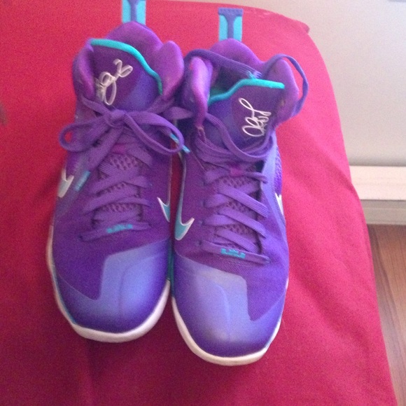 Lebrons - Picture 3 of 4
