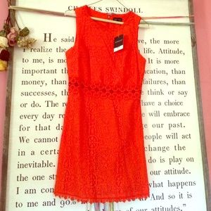 Brand new Topshop dress!