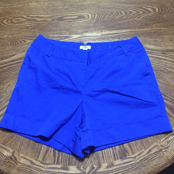 🍁NOVEMBER SALE🍁 Blue Shorts