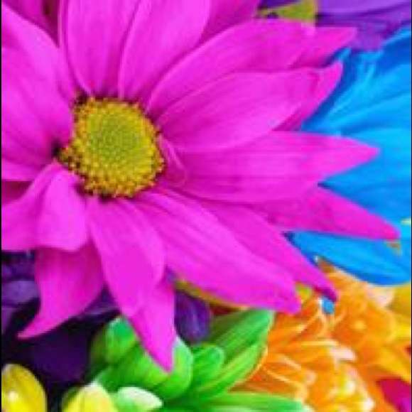 Summer flower wallpaper !!!! - Picture 1 of 1