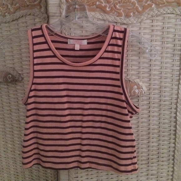 Pink and maroon stripped crop shirt