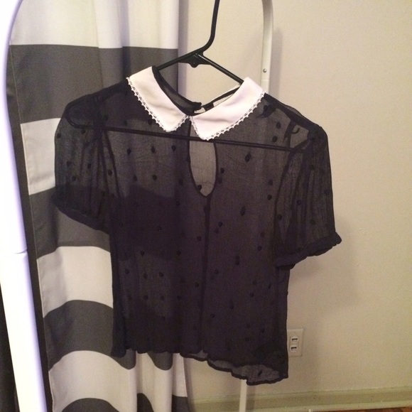 sheer peter pan collar top