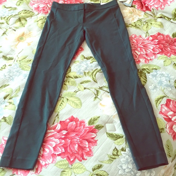 Loft Marisa modern fit skinny pants