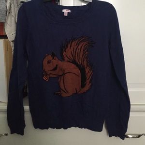 NWOT Blue Squirrel Sweater
