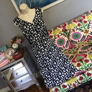 Lovely Black and White Dress