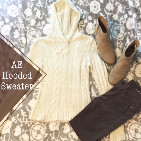 American Eagle Hooded Sweater